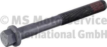 BF 20080995008 - Cylinder Head Bolt car-mod.net