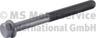 BF 200804D1309 - Cylinder Head Bolt car-mod.net