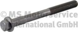 BF 200807DS009 - Cylinder Head Bolt car-mod.net