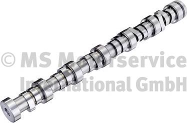BF 20 1009 13003 - Camshaft car-mod.net