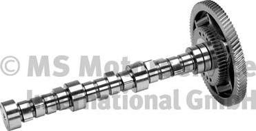 BF 20100340100 - Camshaft car-mod.net