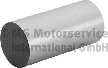 BF 20100335260 - Tappet / Rocker car-mod.net