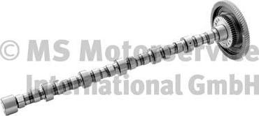 BF 20100228760 - Camshaft car-mod.net
