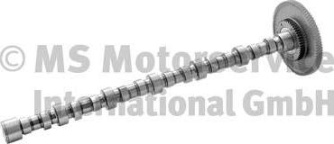 BF 20100228761 - Camshaft car-mod.net