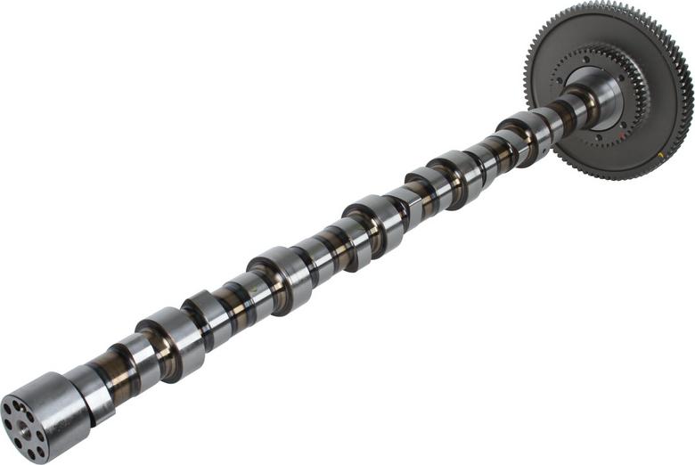 BF 20100228762 - Camshaft car-mod.net