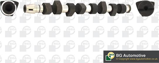 BGA CS4312 - Camshaft car-mod.net
