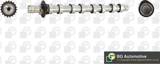 BGA CS5531 - Camshaft car-mod.net