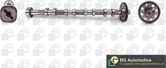 BGA CS0140 - Camshaft car-mod.net
