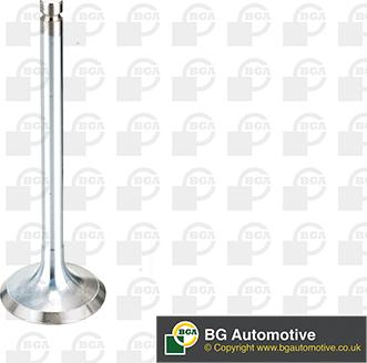 BGA V994546 - Inlet Valve car-mod.net