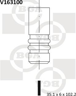 BGA V163100 - Inlet Valve car-mod.net