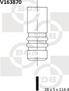 BGA V163870 - Inlet Valve car-mod.net