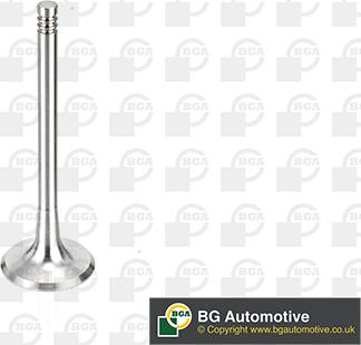 BGA V163720 - Inlet Valve car-mod.net