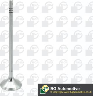 BGA V200610 - Inlet Valve car-mod.net