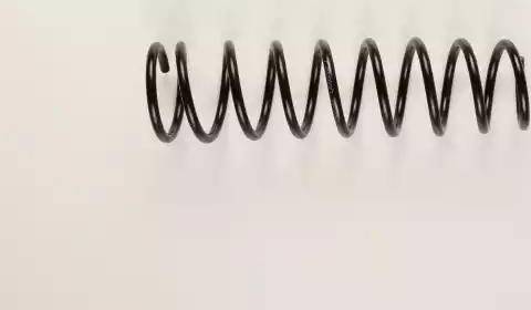 Bilstein 36-160723 - Coil Spring car-mod.net