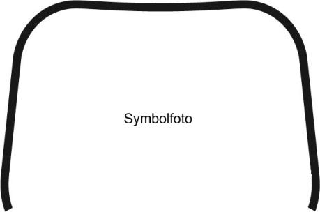 BINDER 1702001820 - Windscreen car-mod.net