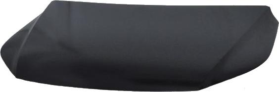 BINDER 7285,130,1 - Bonnet, hood car-mod.net