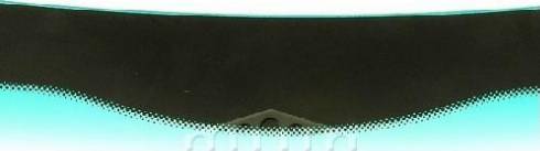 BINDER A01BMW2440GG - Windscreen car-mod.net
