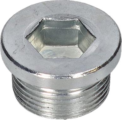 Birth 40597 - Sealing Plug, oil sump car-mod.net