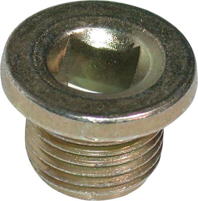 Birth 4361 - Sealing Plug, oil sump car-mod.net