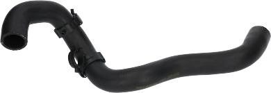 Birth 54565 - Radiator Hose car-mod.net