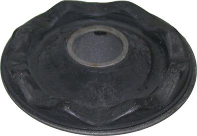 Birth 2081 - Bush of Control / Trailing Arm car-mod.net