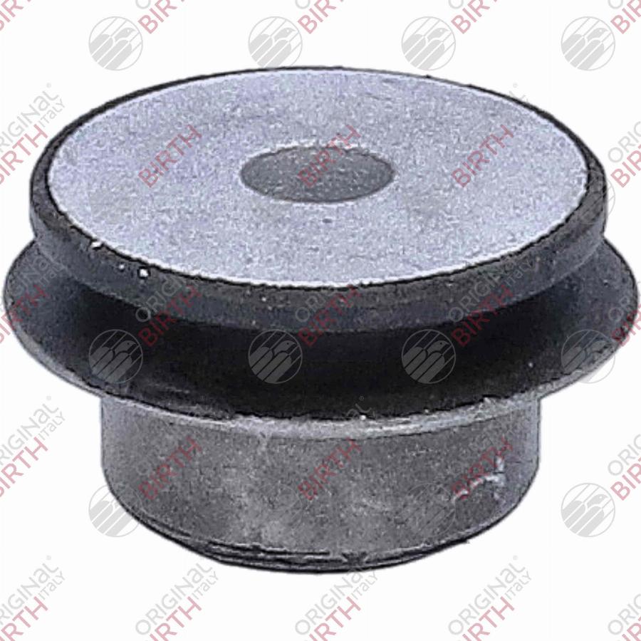 Birth 20220 - Bush of Control / Trailing Arm car-mod.net