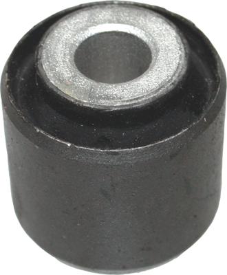 Birth 2166 - Bush of Control / Trailing Arm car-mod.net
