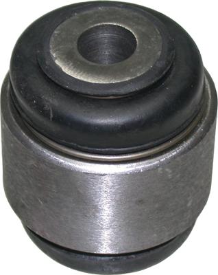 Birth 2352 - Bush of Control / Trailing Arm car-mod.net