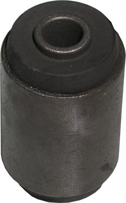 Birth 2290 - Bush, leaf spring car-mod.net