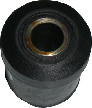 Birth 2291 - Bush, leaf spring car-mod.net