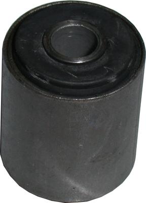 Birth 2289 - Bush, leaf spring car-mod.net