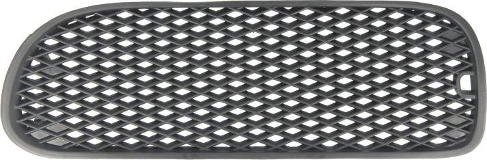BLIC 9999-43-003941P - Ventilation Grille, bumper car-mod.net