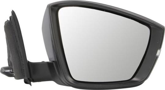 BLIC 5402-43-1926319P - Outside Mirror car-mod.net