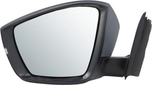 BLIC 5402-43-1926314P - Outside Mirror car-mod.net
