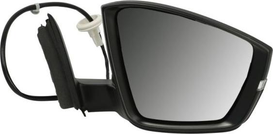 BLIC 5402-43-1926315P - Outside Mirror car-mod.net