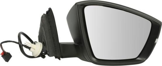 BLIC 5402-43-1926311P - Outside Mirror car-mod.net