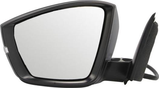 BLIC 5402-43-1926318P - Outside Mirror car-mod.net