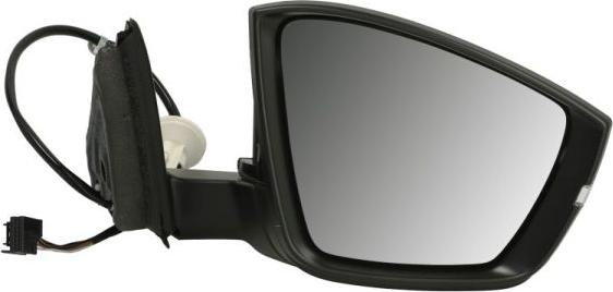 BLIC 5402-43-1926313P - Outside Mirror car-mod.net