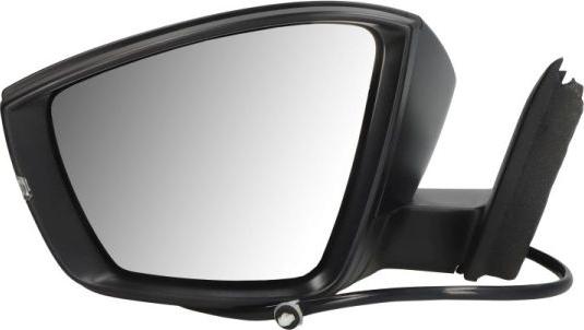 BLIC 5402-43-1926312P - Outside Mirror car-mod.net
