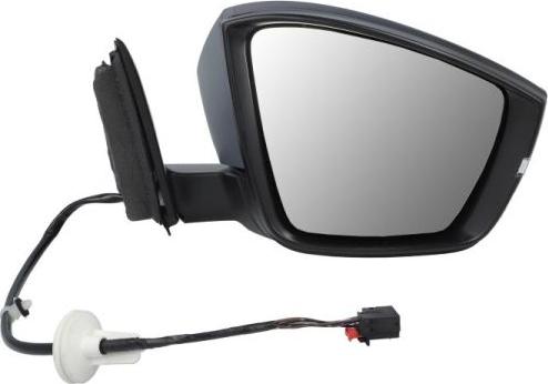 BLIC 5402-43-1926317P - Outside Mirror car-mod.net