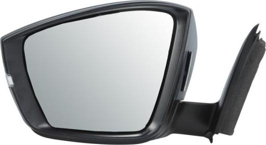 BLIC 5402-43-1926330P - Outside Mirror car-mod.net