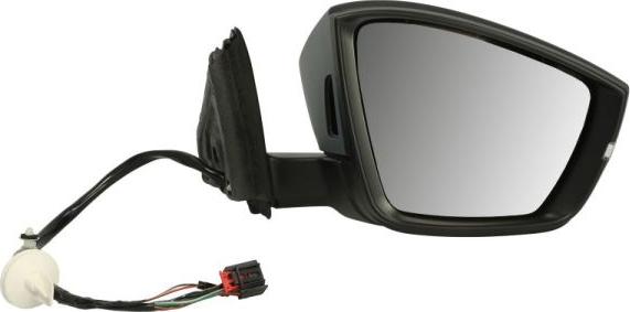 BLIC 5402-43-1926329P - Outside Mirror car-mod.net