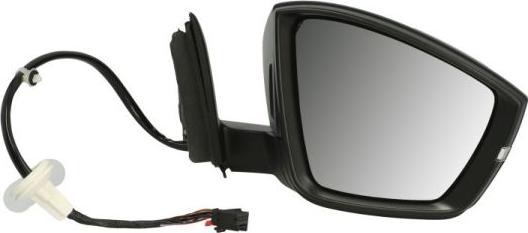 BLIC 5402-43-1926327P - Outside Mirror car-mod.net