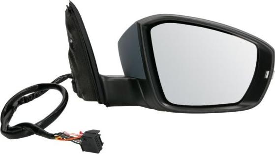 BLIC 5402-43-2002356P - Outside Mirror car-mod.net