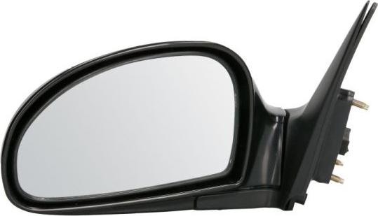 BLIC 5402-53-2001495P - Outside Mirror car-mod.net
