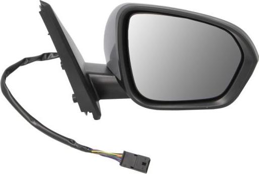 BLIC 5402-67-2146317P - Outside Mirror car-mod.net