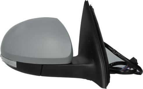 BLIC 5402-04-9939131 - Outside Mirror car-mod.net