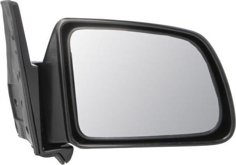 BLIC 5402-04-1115989P - Outside Mirror car-mod.net