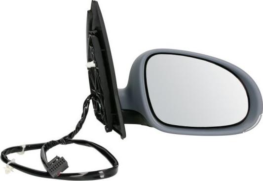BLIC 5402-04-1139128P - Outside Mirror car-mod.net