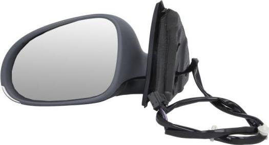 BLIC 5402-04-1131121P - Outside Mirror car-mod.net